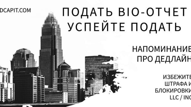 ⏰ BIO-отчёт для бизнеса в США: Напоминание о дедлайне EDCAPIT ⏰ BIO-отчёт для бизнеса в США: Напоминание о дедлайне EDCAPIT