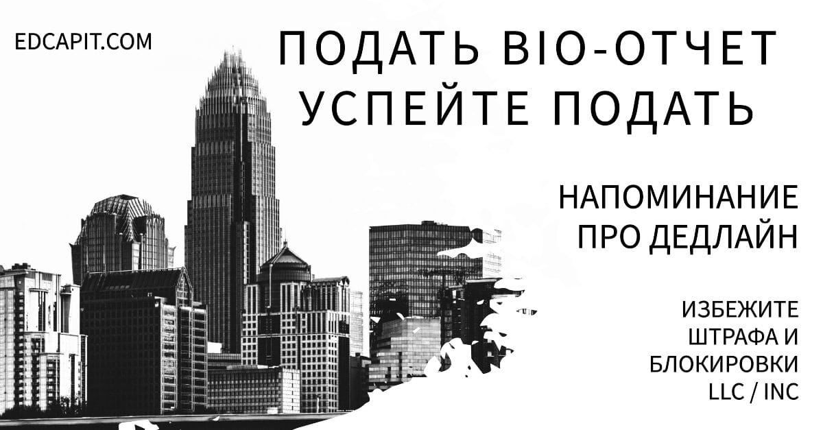 ⏰ BIO-отчёт для бизнеса в США: Напоминание о дедлайне EDCAPIT