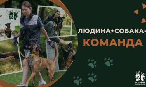 миниатюра курса