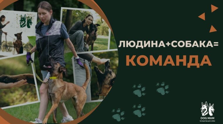 ЗАСТАВКА НА КУРС ЗАСТАВКА НА КУРС